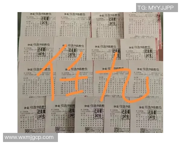 戈亚斯对阵沙佩科的竞彩分析与胜负推荐解析